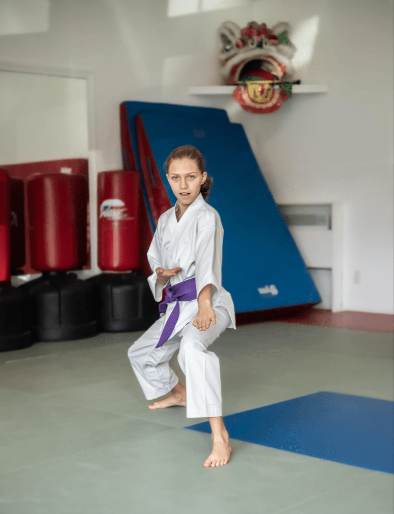 dojo traditionnel Drummondville
