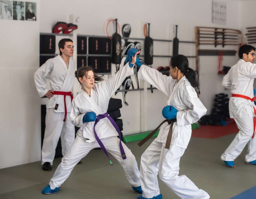 Écoles de Karaté Drummondville | Cours Shito Ryu | Karaté Elite